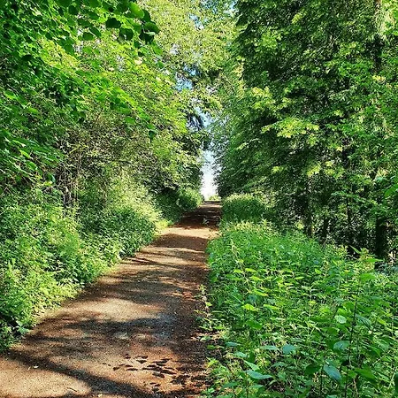 707 Mit Pool לאנשטיין